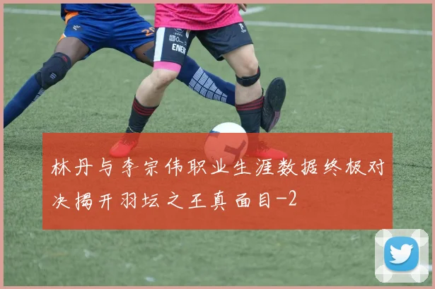 林丹与李宗伟职业生涯数据终极对决揭开羽坛之王真面目